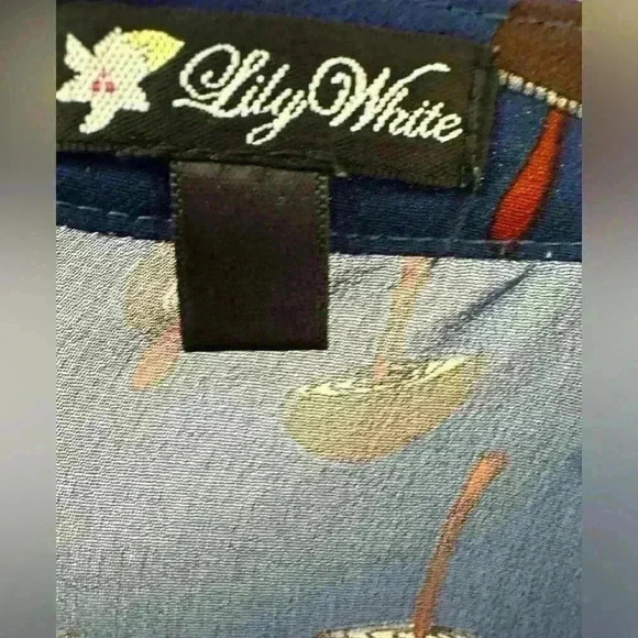 Lily White sheer blue long sleeve half button down mushroom blouse size small - Picture 7 of 7